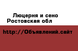 Люцерня и сено - Ростовская обл.  »    